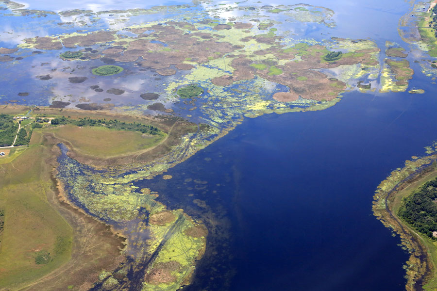 Aerial view of an algae bloom in Lake Okeechobee in Florida, a source of pollution to the water system and to the Everglades. 