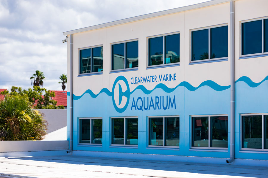 Clearwater Marine Aquarium in Clearwater, Florida. Florida's Marine Life Rescue Center. Clearwater, FL. August 24. 2019.