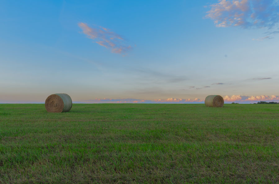 Hay stacks in Auburndale, Florida