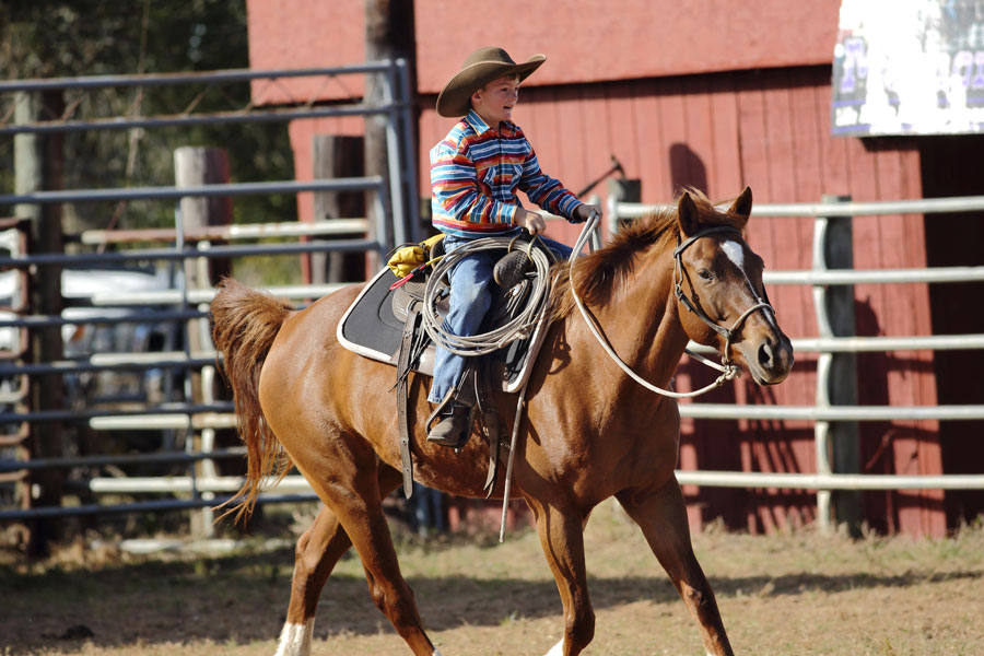 A child gallops his horse while waiting for his turn of participation during the free event "Steven Mauldin Memorial Youth Rodeo" held at Fellsmere Riding Clubin Fellsmere Florida on December 7, 2019. 