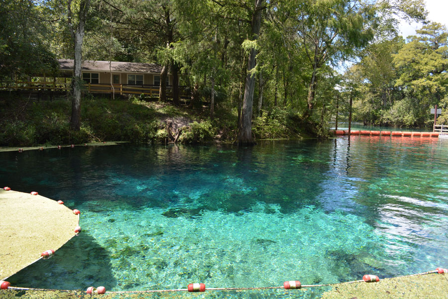 Fanning Springs State Park in the town of Fanning Springs. 