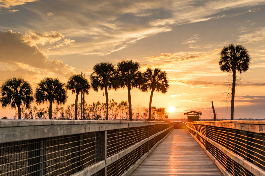 A Boardwalk in Paynes Prairie which brings you out a couple hundred feet over the water. Gainesville Florida. Photo credit ShutterStock.com, licensed.