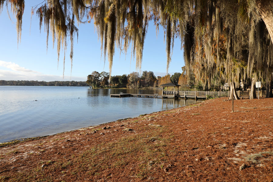 Spanish moss hanging from ancient trees, in Winter Park, Florida along the shore of Lake Virginia, near the Rollins College campus, north of Orlando. Photo credit ShutterStock.com, licensed.