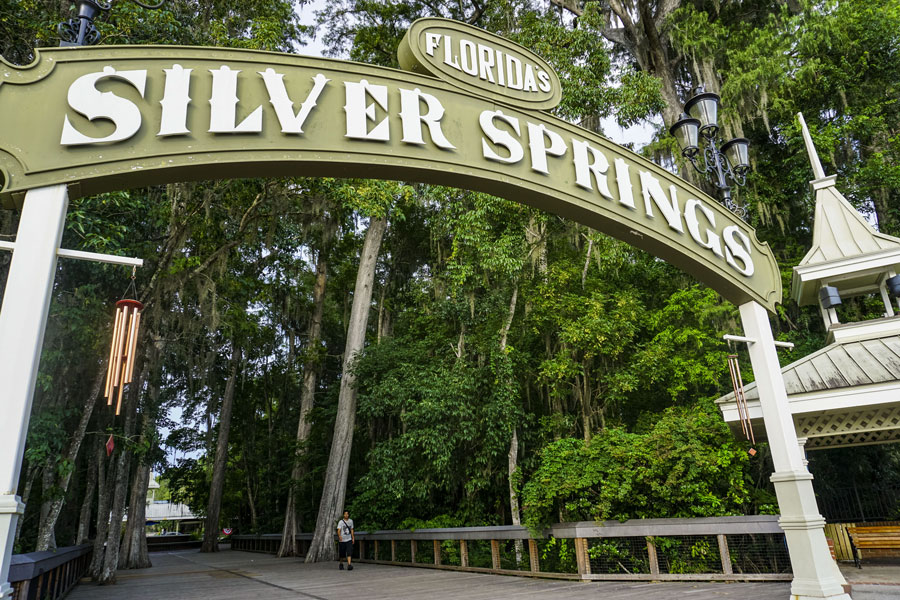 Man walking in Silver Springs State Park on July 3, 2017 in Ocala, Florida. Editorial credit: Miosotis_Jade / Shutterstock.com, licensed.