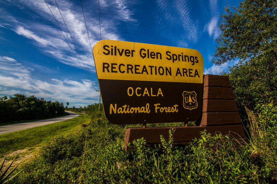 Ocala Silver Glen Springs Sign at the Ocala National Forest. Photo credit ShutterStock.com, licensed.