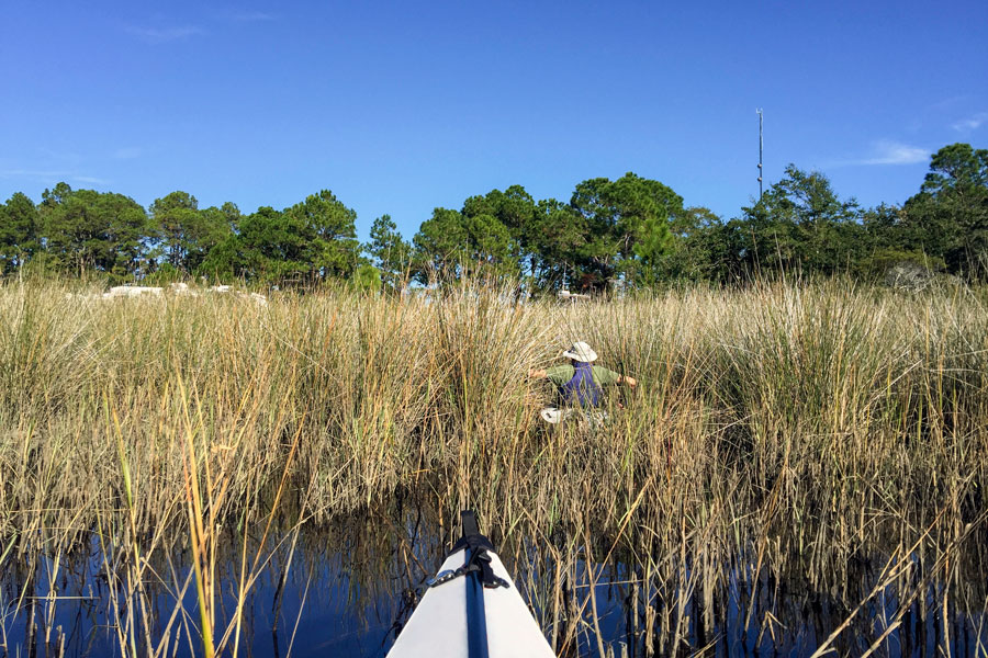 A couple paddles in kayaks along the salt marsh near Carabelle on the Florida Panhandle. Photo credit ShutterStock.com, licensed.