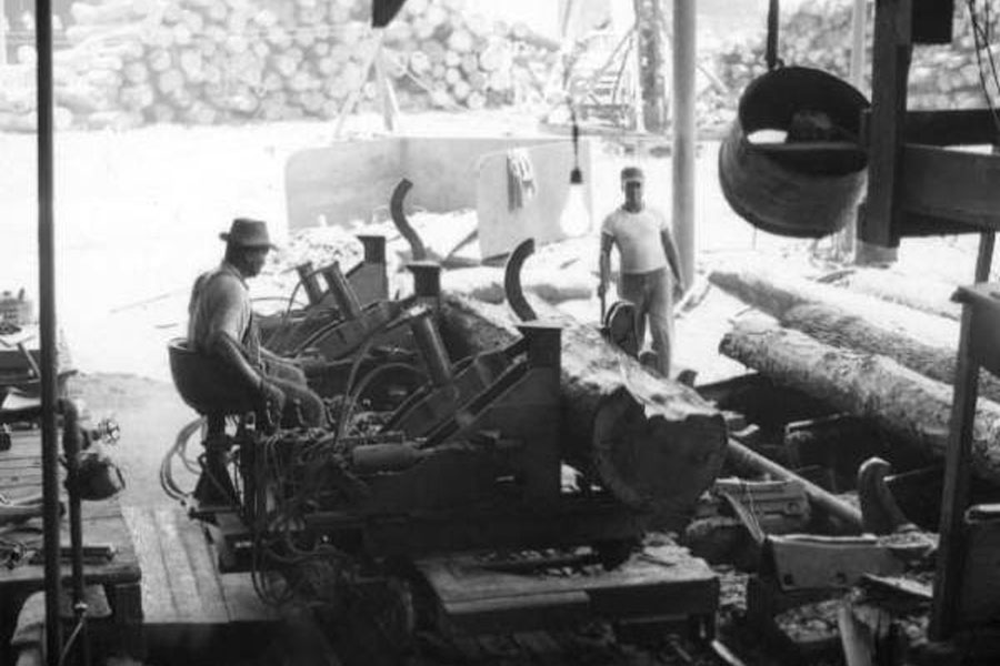 Rex Lumber Company, established in 1926 in Graceville, Florida. Men working at the Rex Lumber Company mill in Graceville during June 1960. Department of Commerce collection.  State Archives of Florida, Florida Memory.