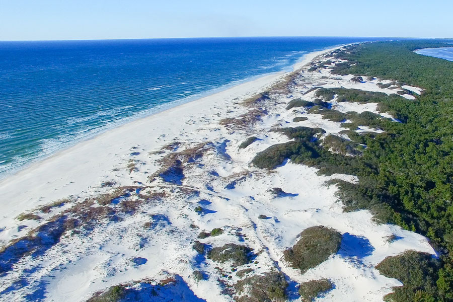 Aerial view of Cape San Blas just east of Mexico Beach, Florida. Photo credit ShutterStock.com, licensed.