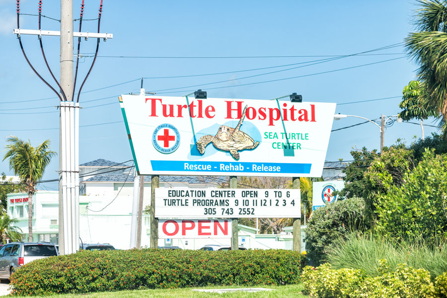 Turtle Hospital clinic for wildlife on The Overseas Highway, Route US1 in the Florida Keys. 