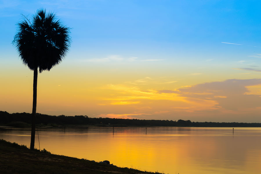 A beautiful sunrise over the Choctawhatchee Bay in Florida with a palm tree silhouette in the foreground. Eglin Air Force Base, Florida. Photo credit ShutterStock.com, licensed.