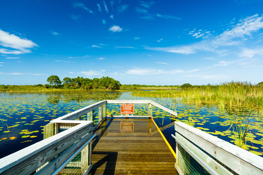 Beautiful nature preserve in Port Saint Lucie Florida.