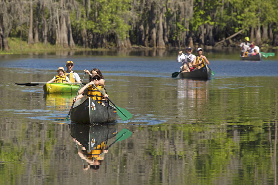 Group of adults and children canoeing on the river at Shingle Creek Regional Park in Kissimmee, Florida, in springtime. March 18, 2017. File photo: Jeff Holcombe, Shutterstock.com, licensed.