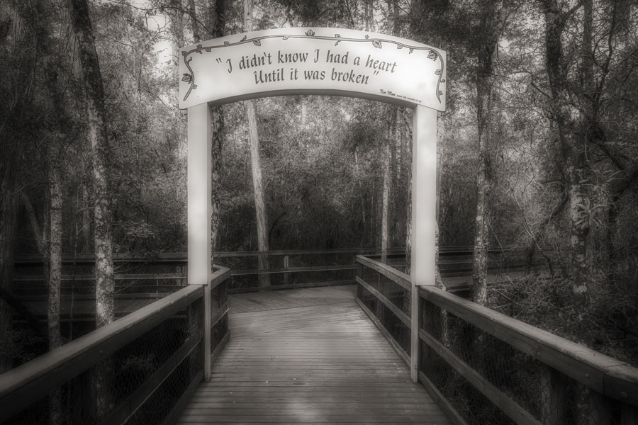 Turkey Creek, Niceville, Florida, on August 20, 2020. Along the boardwalk you'll find this sign with the quote from the Tin Man of the wizard of oz. I didn't know I had a heart until it was broken File photo: Terry Kelly, Shutterstock.com, licensed.