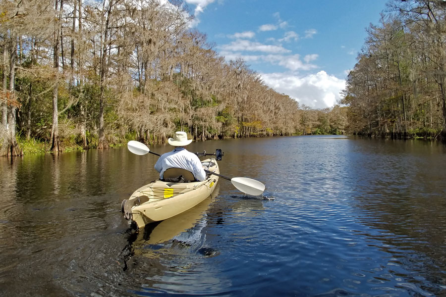 An active senior kayaking on the still waters of Fisheating Creek, a stream that flows into Lake Okeechobee in Florida, in late autumn. 