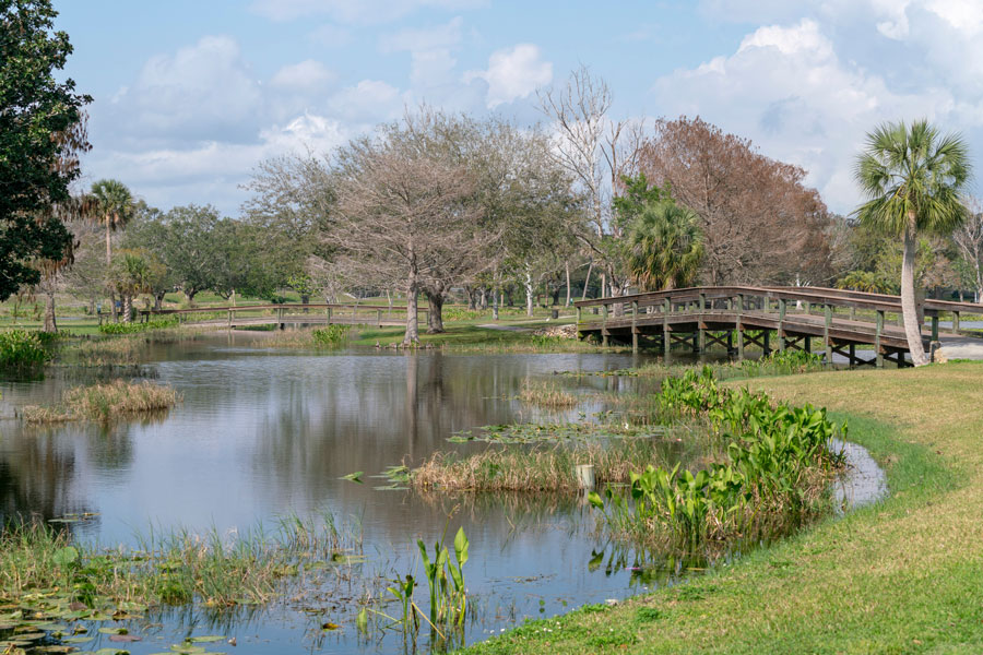 An outdoor park in Leesburg Florida in the month of February. There are walking paths, ponds with small islands that have wooden bridges leading to them. 