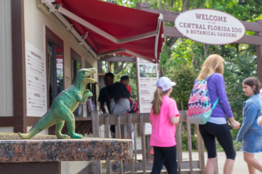 The Central Florida Zoo and Botanical Gardens is a 116-acre zoo and botanical garden located north of Orlando, Florida in Sanford. File