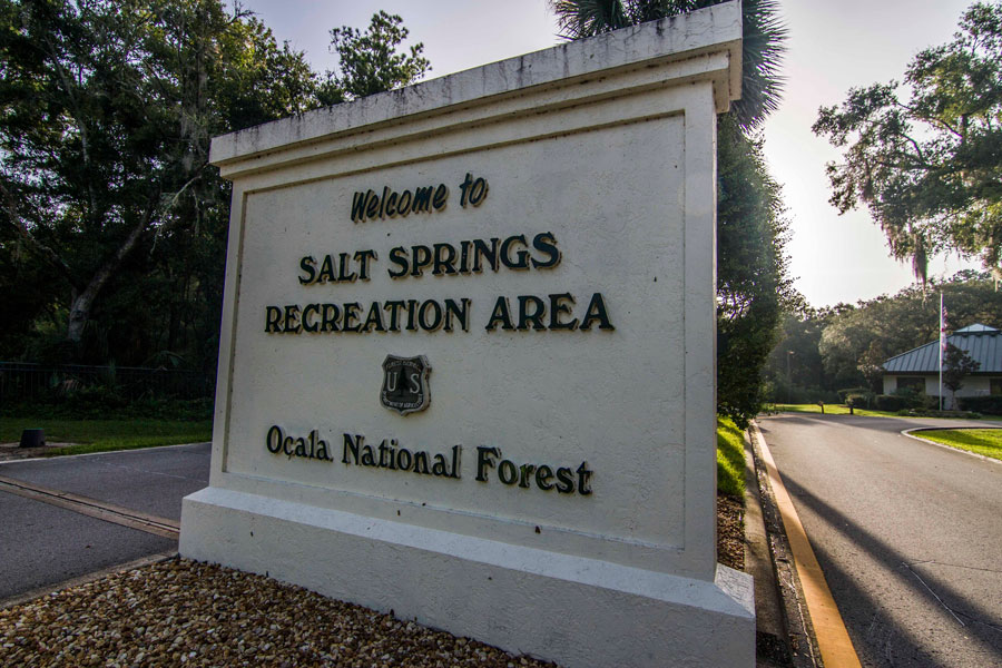 Salt Springs Recreation Area Entrance Sign