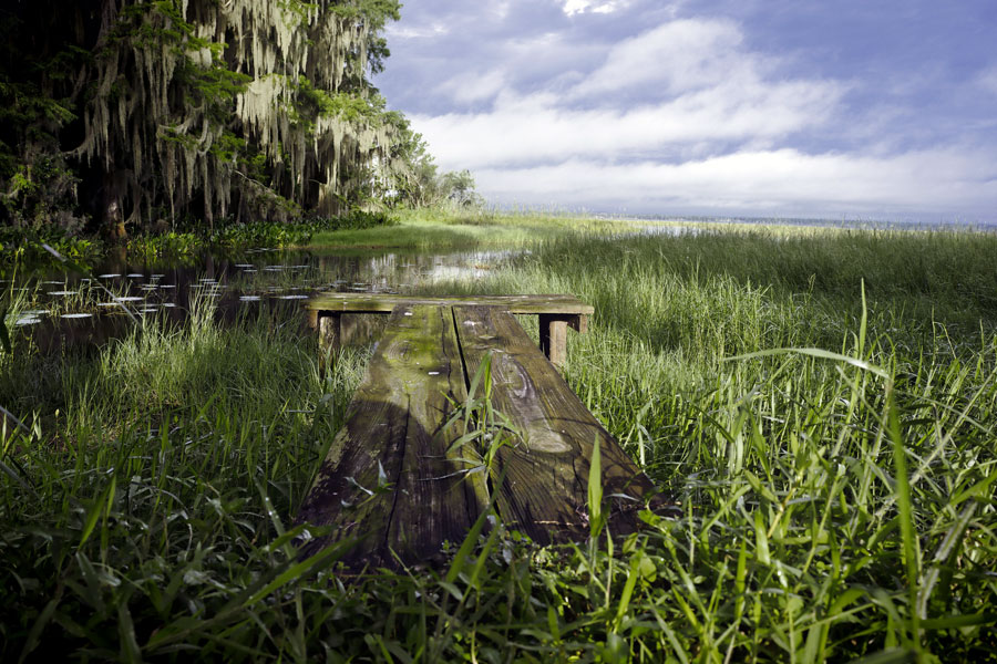 An old small wooden pier with abundant Spanish moss in Haynes City, Florida. 