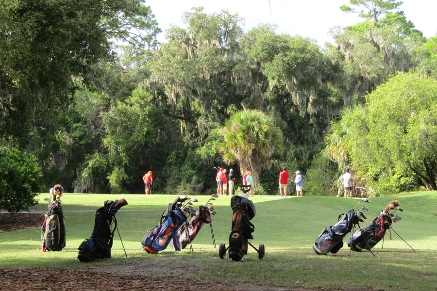 18-hole Palm Harbor course at the Palm Harbor Golf Club facility in Palm Coast, Florida features all the hallmarks of Florida golf. 