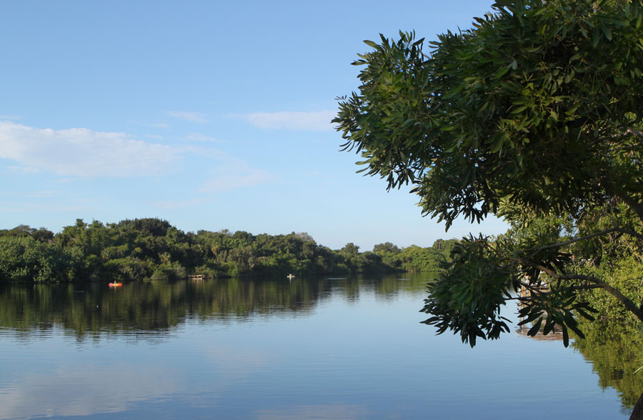 Turkey Creek, a 130-acred sanctuary surrounded by sand pines, saw palmettos and live oaks.