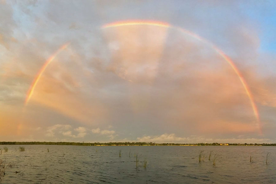 A beautiful rainbow over Lake Haines, in Lake Alfred, Florida. Photo credit: Stacy Lennox.