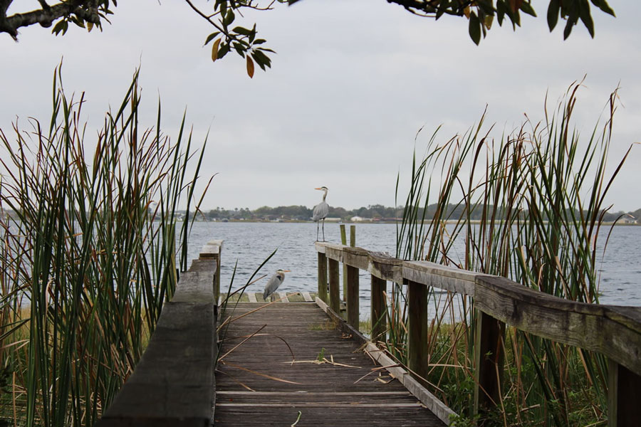 The dock on Lake Rochelle at MacKay Estates. Photo credit: Amber Arnold Herl. 