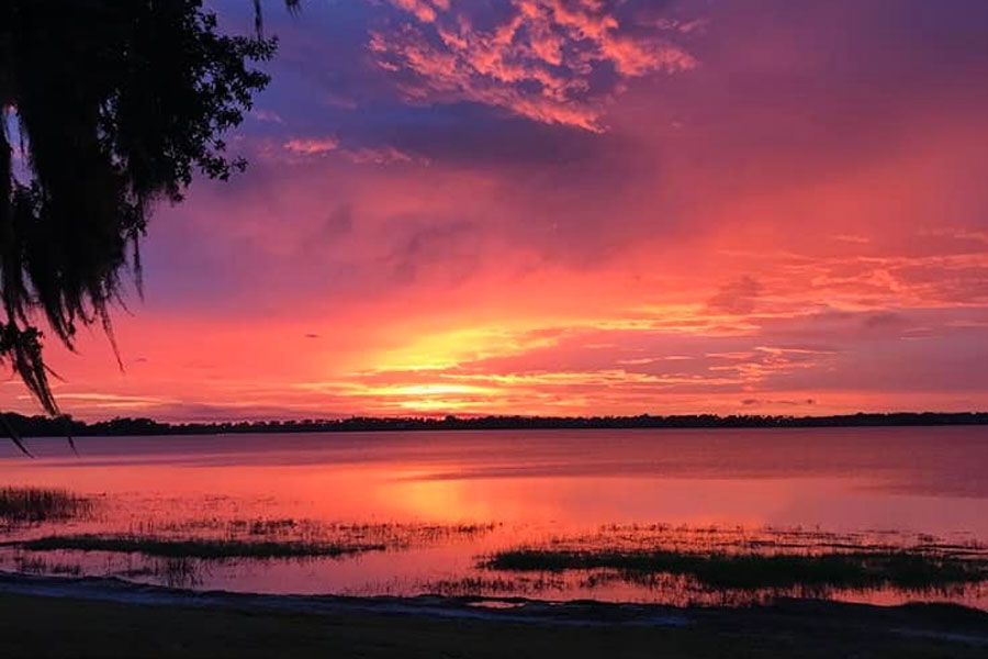 Lake Alfred Lake. Photo credit: Nancy Zarza Daley. Makenna Atterson.