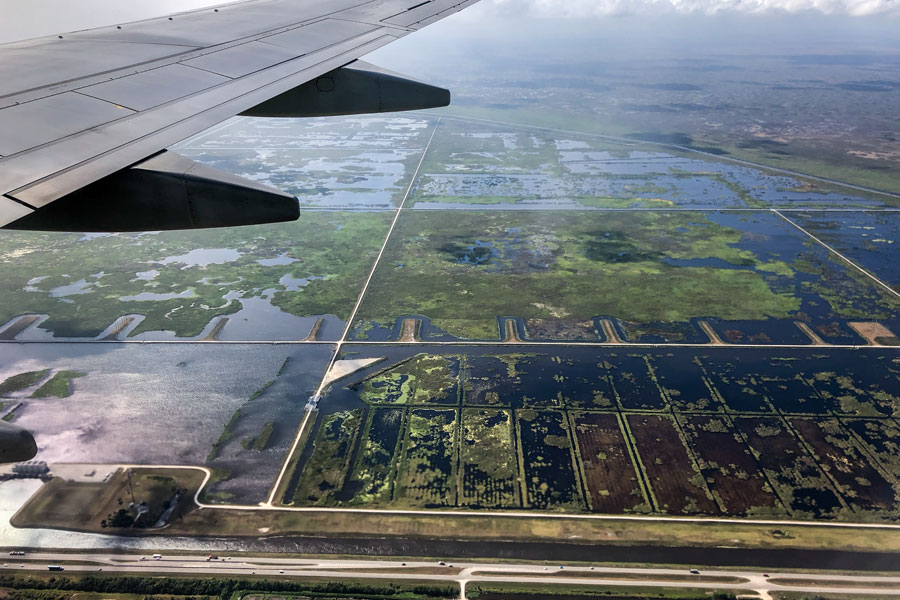 Sugar Cane Farms