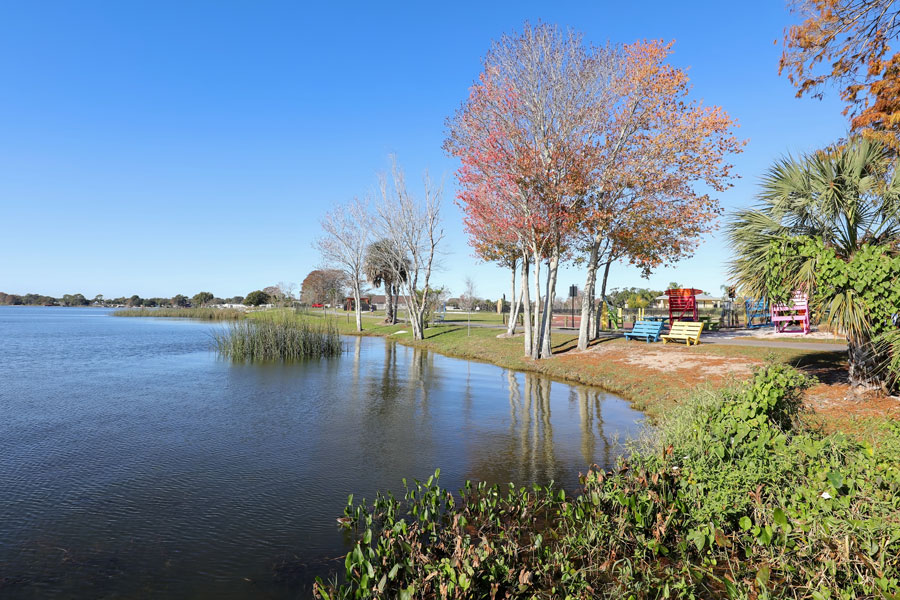 Florida red maple trees at Lake Dora in Wooten Park, Tavares, Florida. Tavares is part of the Golden Triangle which includes Mount Dora and Eustes known for it's small town feel and natural beauty.