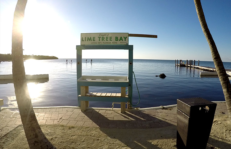 A view of the Lime Tree Bay Resort Property. File photo: Sheldon B, Shutter Stock, licensed.