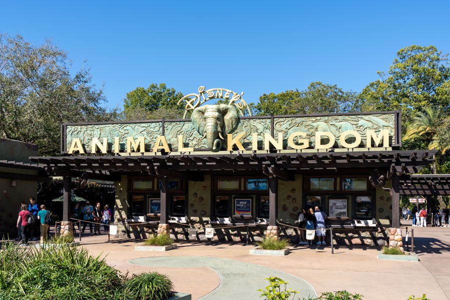 Disney’s Animal Kingdom