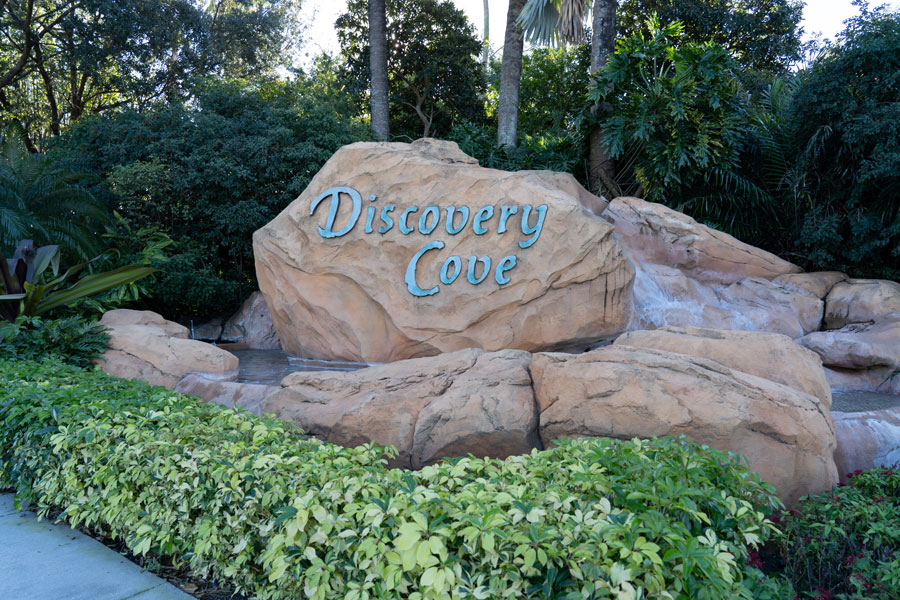 Discovery Cove: All-Inclusive Tropical Day Resort