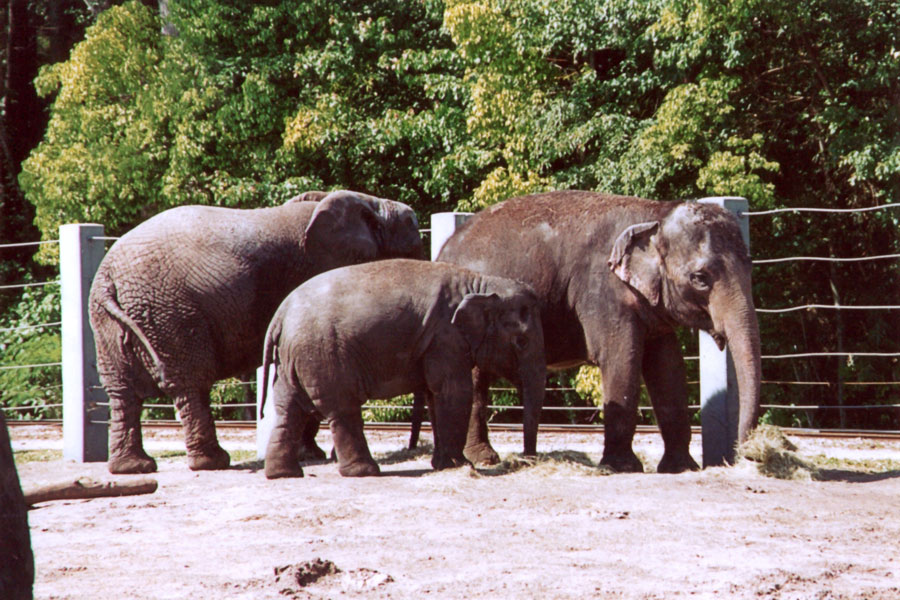 Jacksonville Zoo