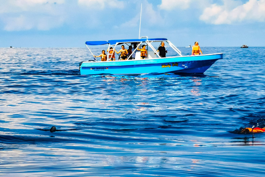 Snorkeling Tours