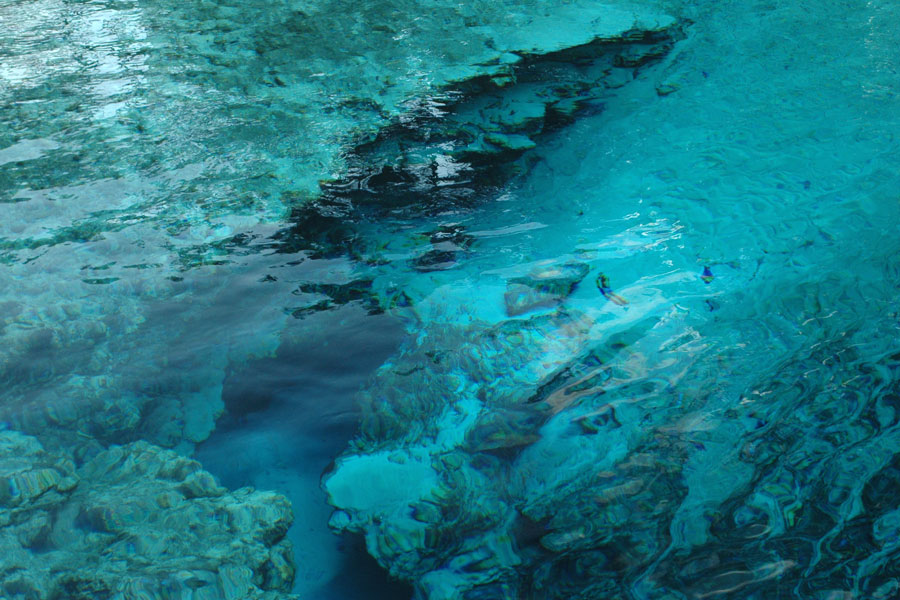 Blue Springs Park in High Springs, Florida