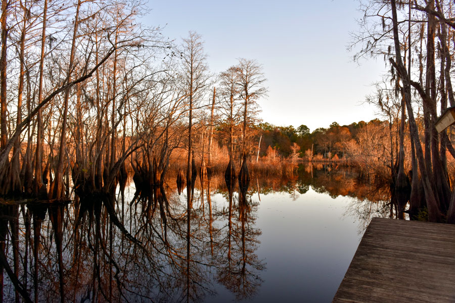 Dead Lakes State Recreation Area