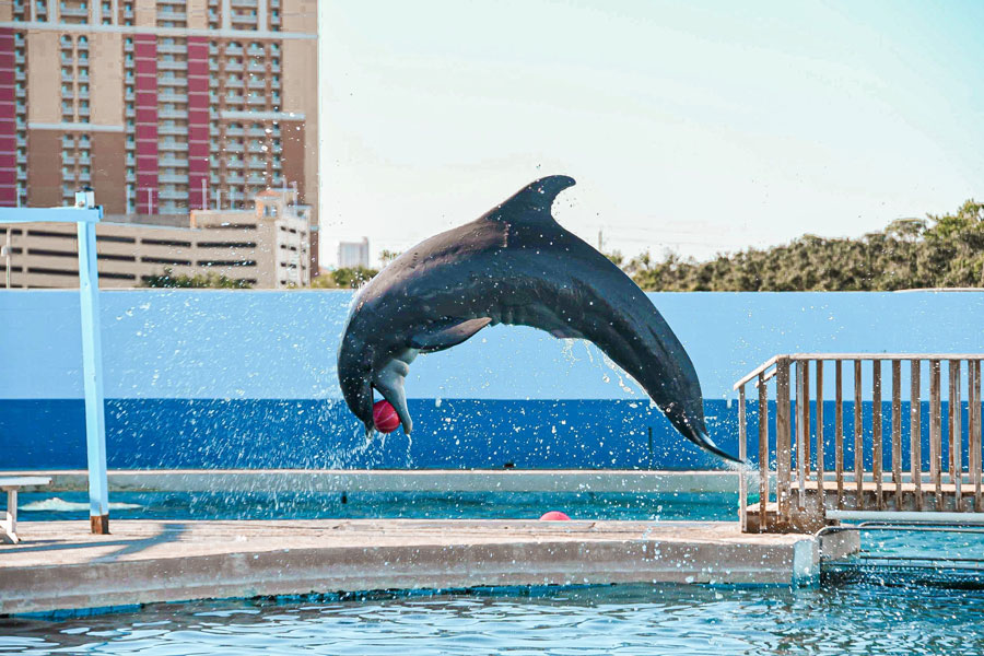 Gulf World Marine Park