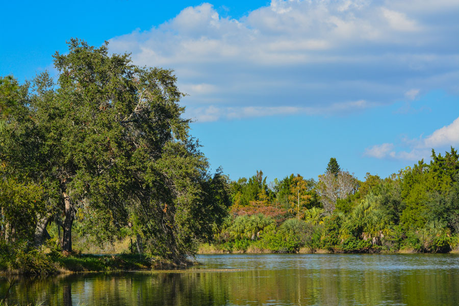 Lake Seminole