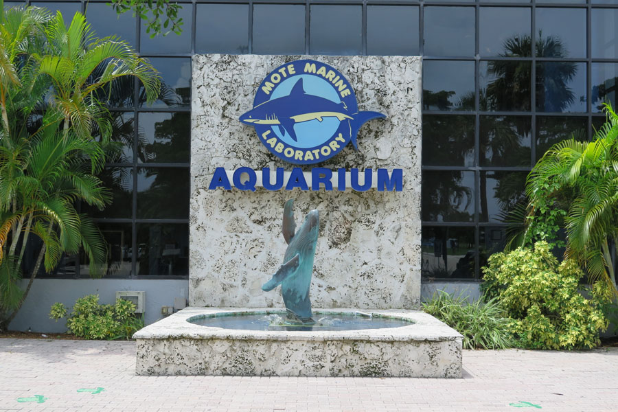 Mote Marine Laboratory & Aquarium