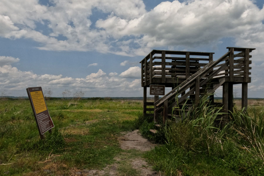 Paynes Prairie Preserve 