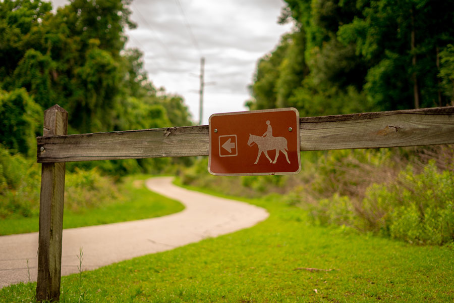 The Gainesville-Hawthorne State Trail 