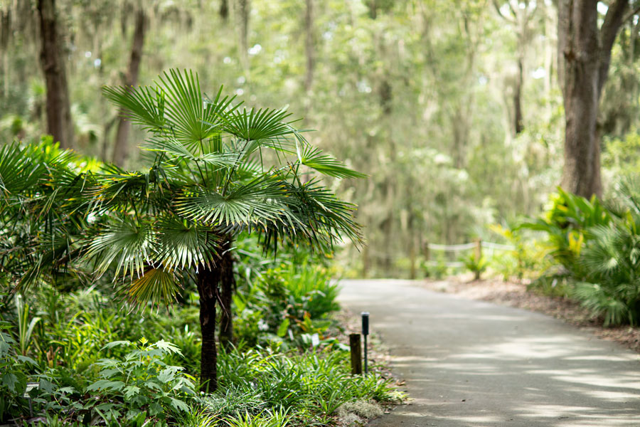 Jacksonville Arboretum & Gardens