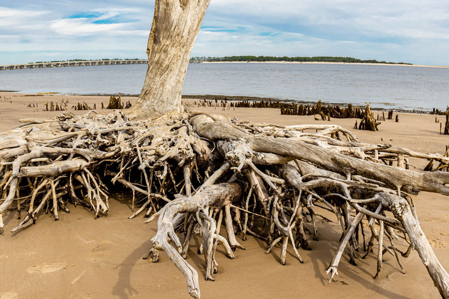 Big Talbot Island State Park