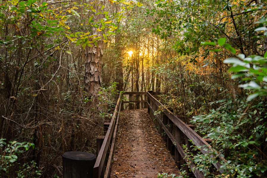 Blackwater River State Park 