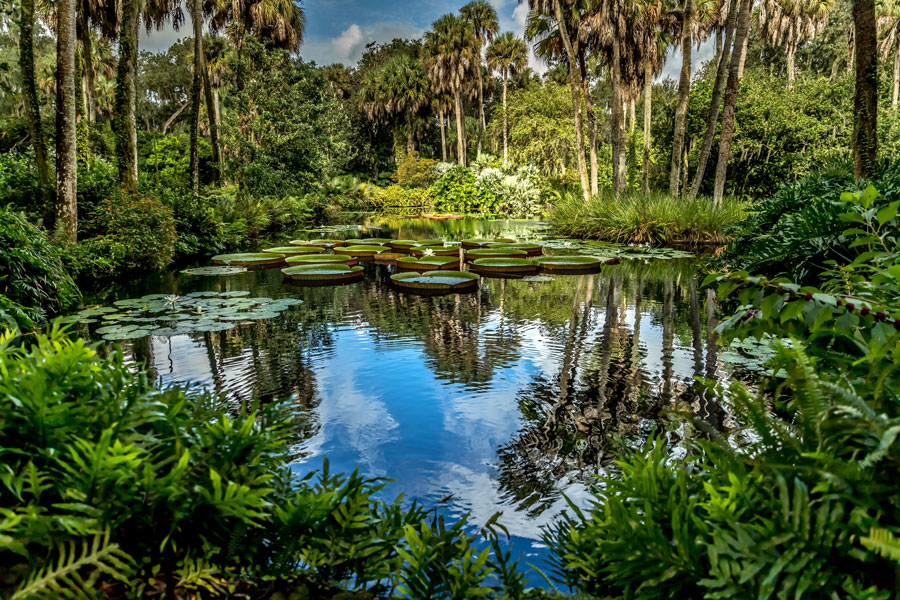 Bok Tower Gardens