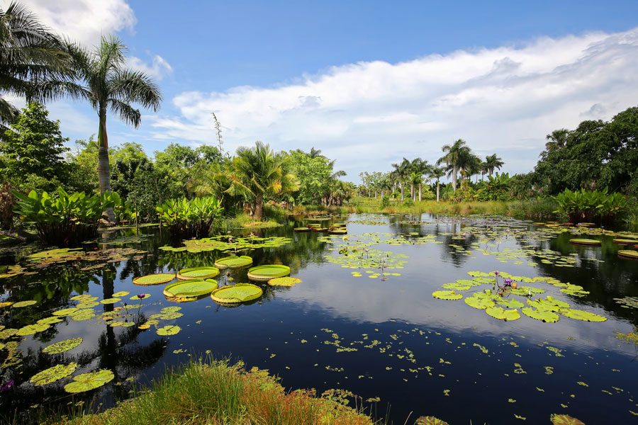 Naples Botanical Garden