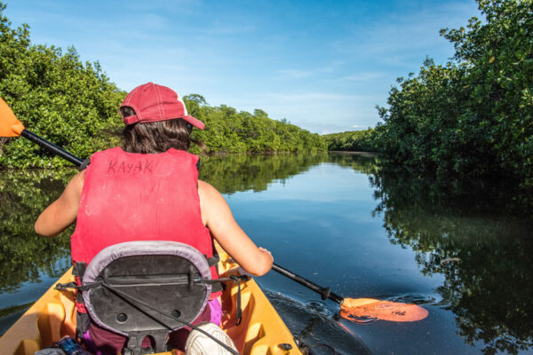 Canoe & Kayak Trails - Florida Vacations, Travel & Tourism Guide