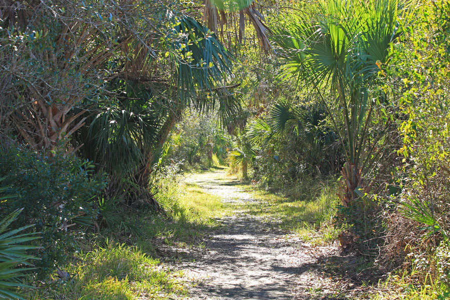 Charlotte Harbor Preserve State Park