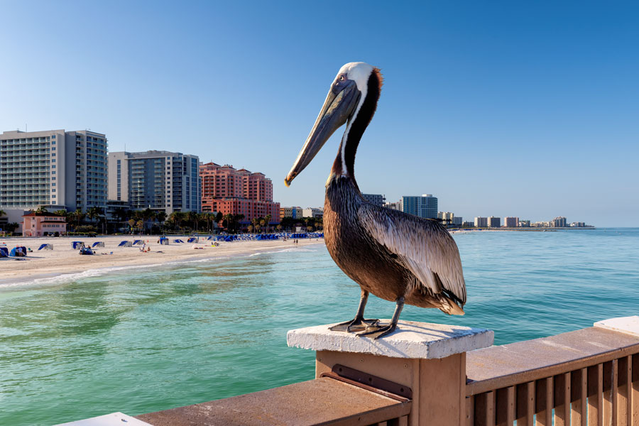 Clearwater Beach