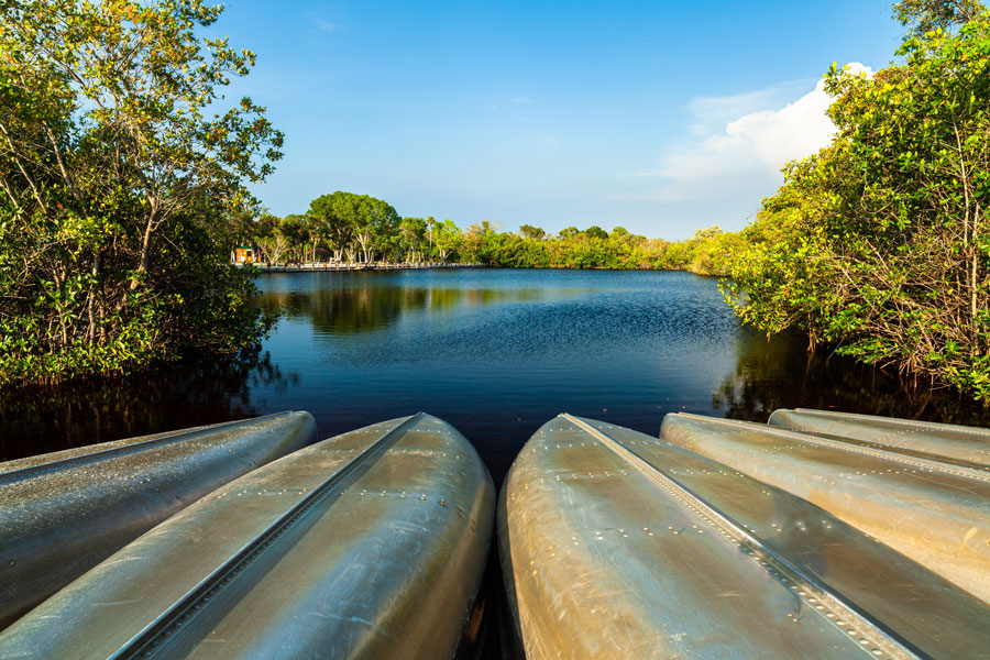 Collier-Seminole State Park